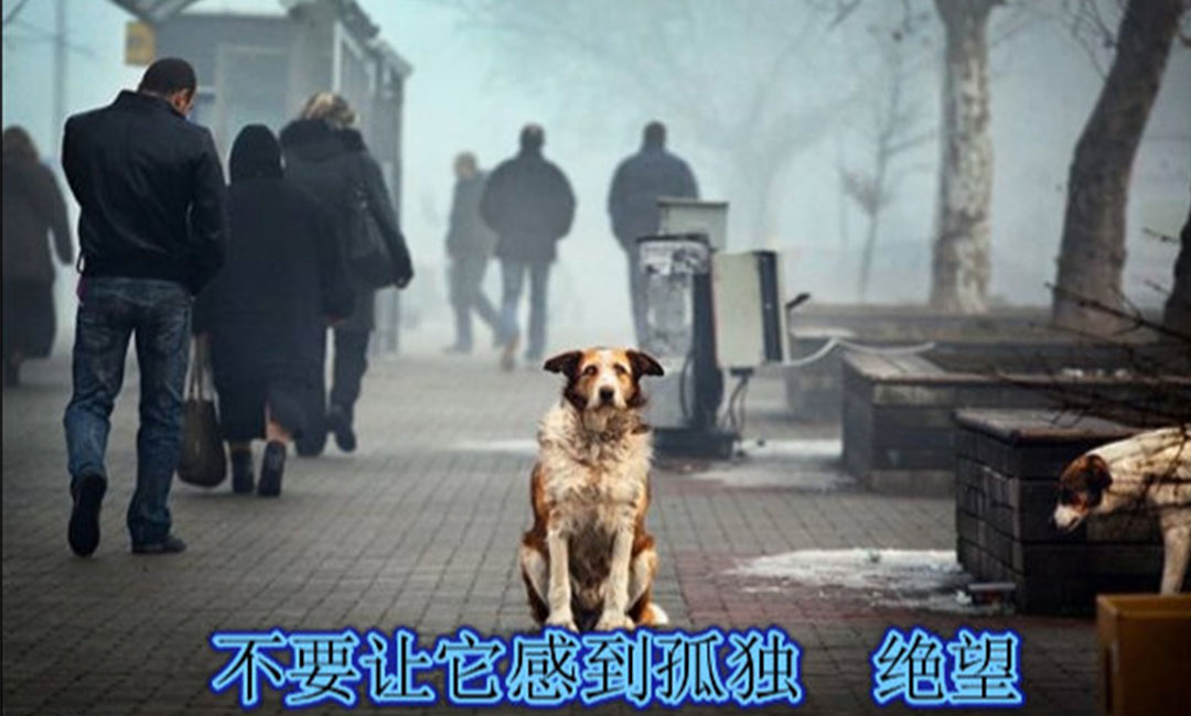 宁波宁波爱影圈微博微信转发案例